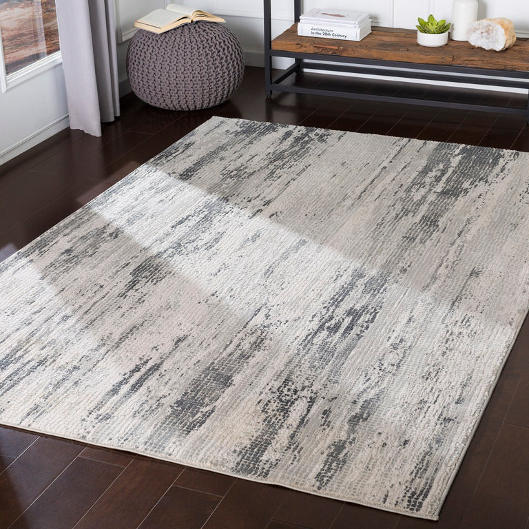 Surya Aisha Modern Rug - 5 x 8 feet, Medium Gray, AIS2304-5373