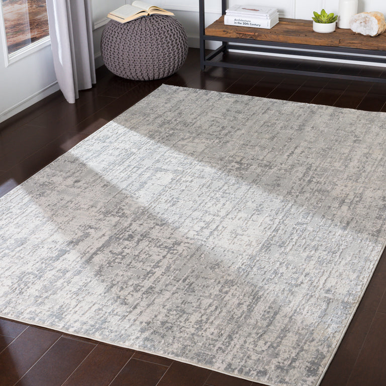 Surya Aisha Modern Rug - 2 x 3 feet, Light Gray, AIS2305-23