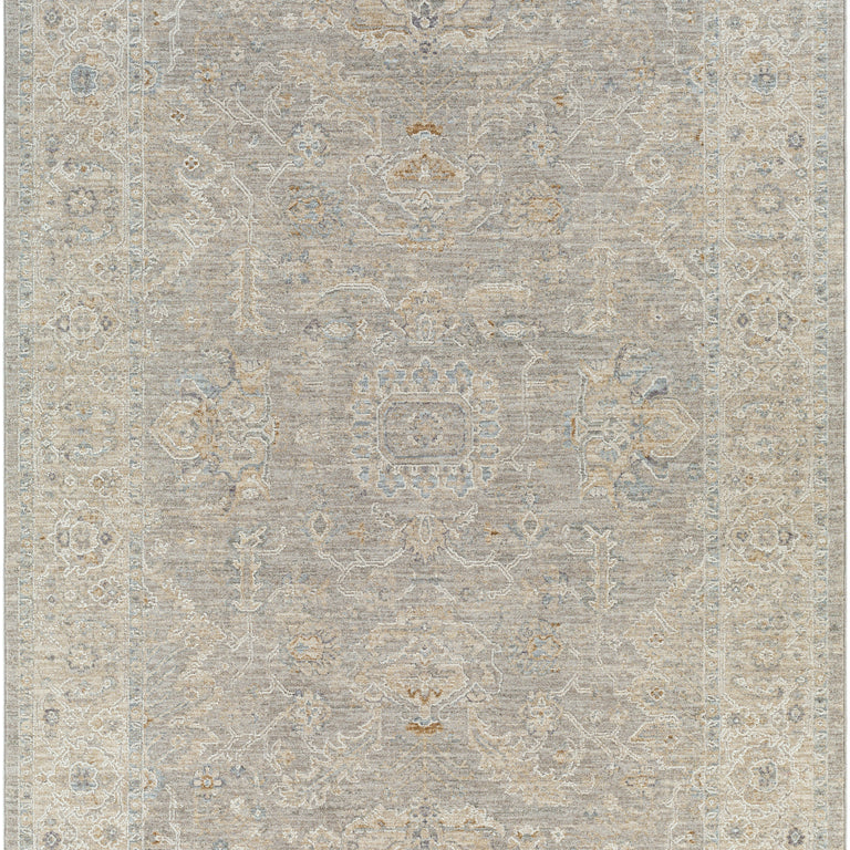 Surya Avant Garde Traditional Rug - 5 x 8 feet, Light Gray, AVT2304-575