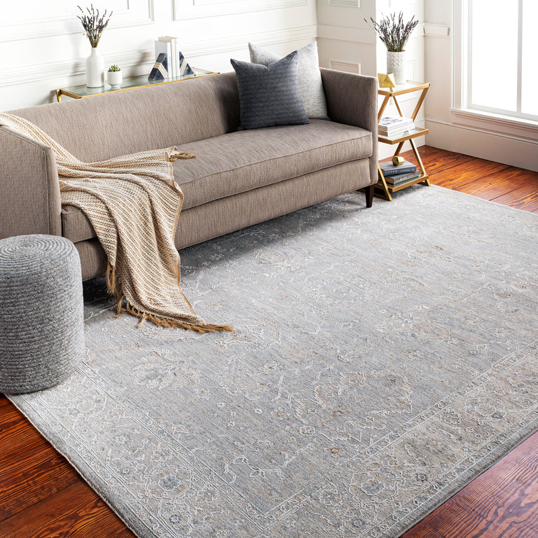 Surya Avant Garde Traditional Rug - 5 x 8 feet, Light Gray, AVT2304-575