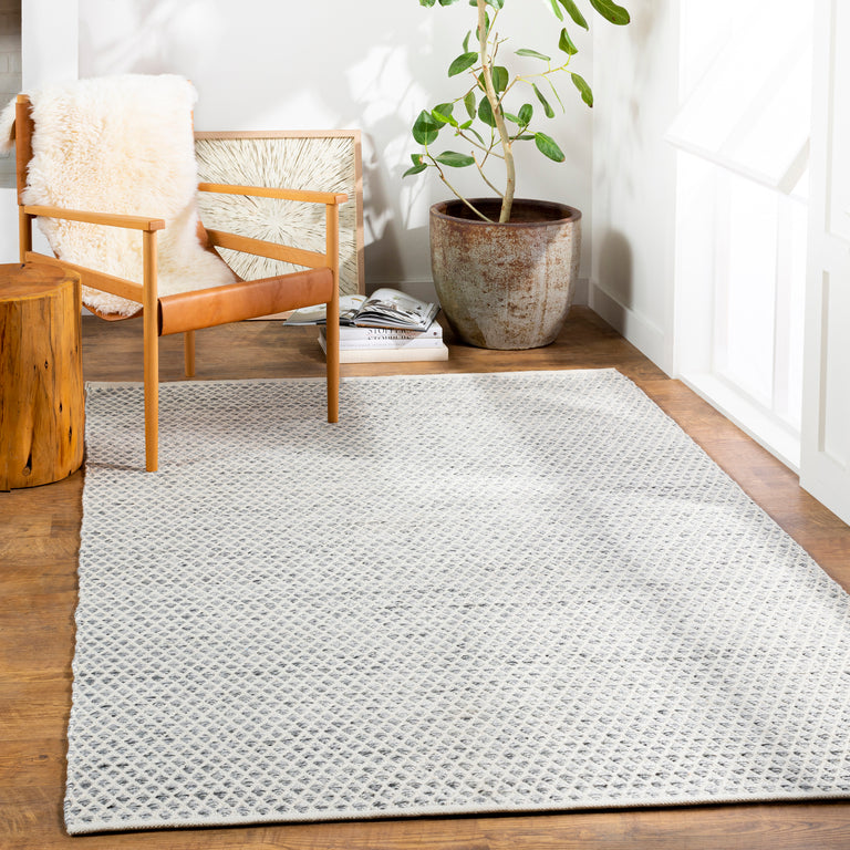 Surya Azalea Modern Rug - 2 x 3 feet, Medium Gray, AZA2306-23