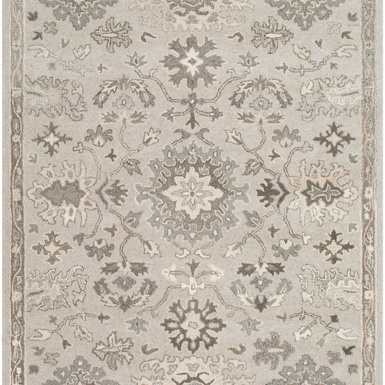Surya Caesar Traditional Rug - 5 x 8 feet, Taupe, CAE1197-58