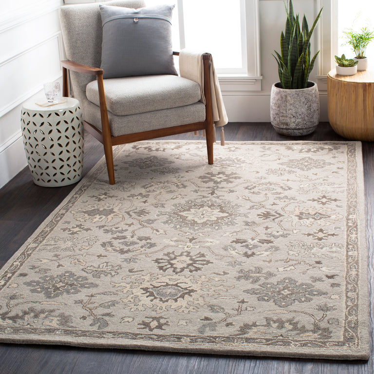 Surya Caesar Traditional Rug - 2 x 4 feet, Taupe, CAE1197-24HM