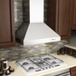 ZLINE 48 in. Professional Ducted Wall Mount Range Hood in Stainless Steel, 697-48
