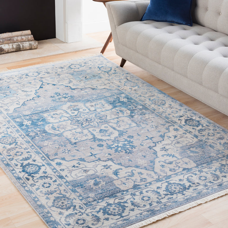 Surya Ephesians Traditional Rug - 4 x 5 feet, Sky Blue, EPC2317-31153