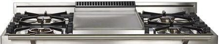 ILVE Professional Plus 40" Natural Gas Burner, Electric Oven Range in Blue Grey with Chrome Trim, UPDW100FDMPGUNG