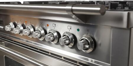 ILVE Professional Plus 40" Natural Gas Burner, Electric Oven Range in Blue Grey with Chrome Trim, UPDW100FDMPGUNG