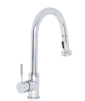 ZLINE MONET KITCHEN FAUCET FPNZ-CH