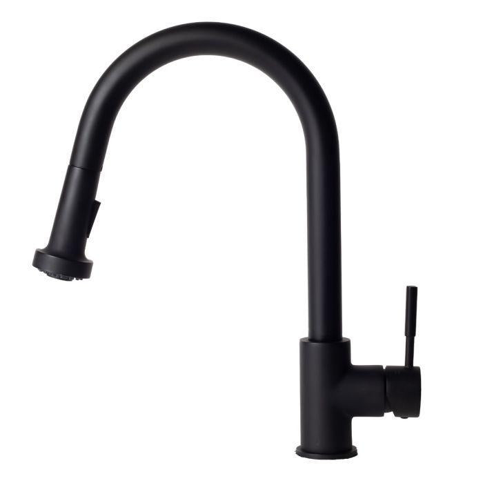 ZLINE Monet Kitchen Faucet FPNZ-MB-1