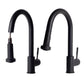 ZLINE Monet Kitchen Faucet FPNZ-MB-3