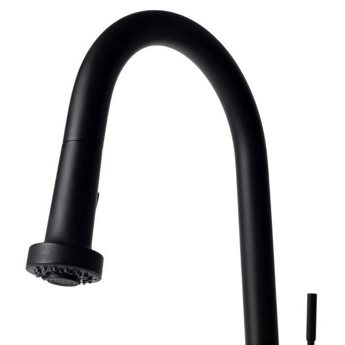 ZLINE Monet Kitchen Faucet FPNZ-MB-2