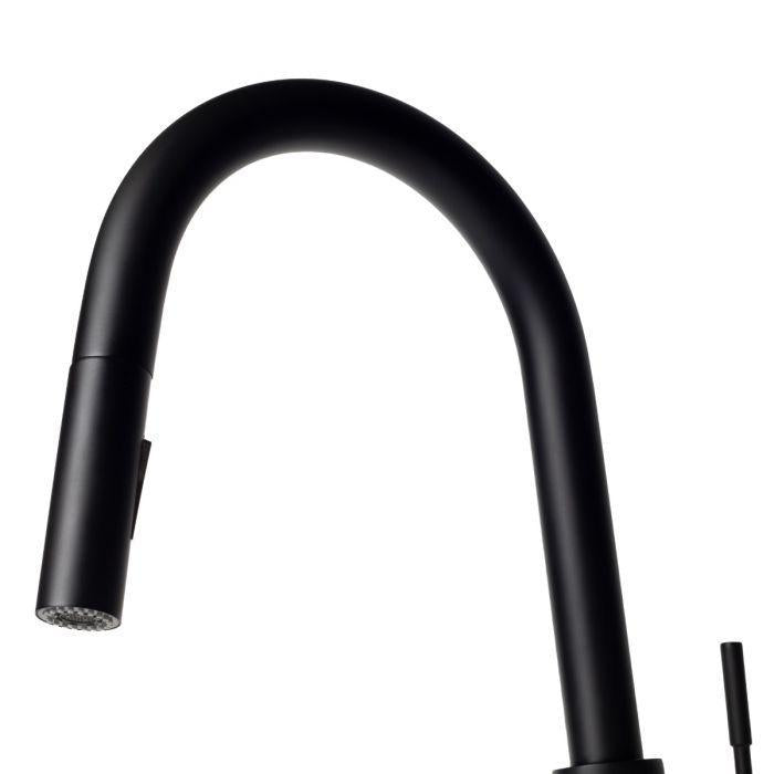 ZLINE Gemini Kitchen Faucet FPTF-MB-2