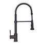 ZLINE Apollo Kitchen Faucet FSNZ-MB-1