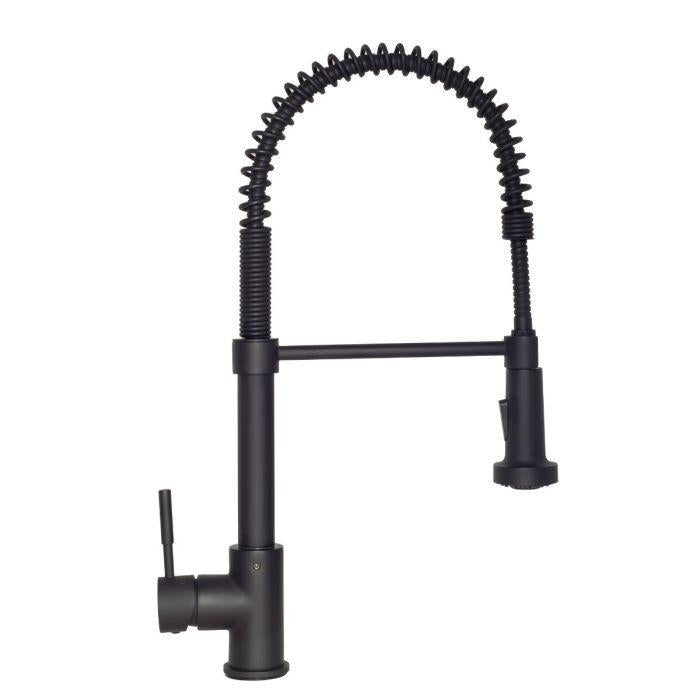ZLINE Apollo Kitchen Faucet FSNZ-MB-1