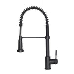 ZLINE Apollo Kitchen Faucet FSNZ-MB