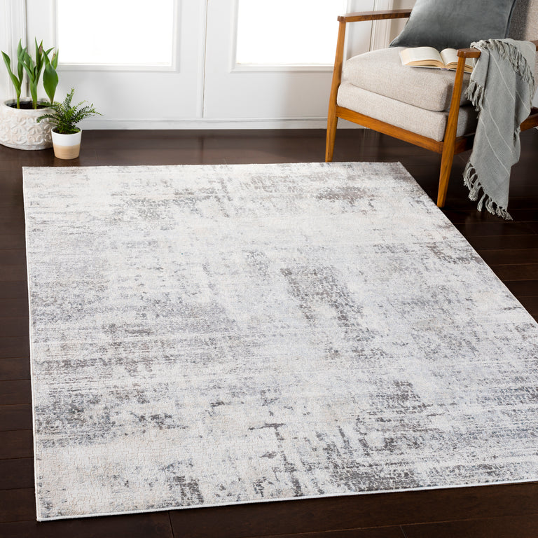 Surya Genesis Modern Rug - 4 x 6 feet, Silver Gray, GNS2306-31157