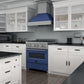ZLINE 30 in. Professional Gas Burner/Electric Oven in DuraSnow® Stainless with Blue Matte Door, RAS-BM-30