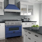 ZLINE 36 in. Professional Gas Burner/Electric Oven in DuraSnow® Stainless with Blue Matte Door, RAS-BM-36