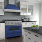 ZLINE 36 in. Professional Gas Burner/Electric Oven in DuraSnow® Stainless with Blue Gloss Door, RAS-BG-36