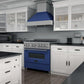 ZLINE 36 in. Professional Gas Burner/Electric Oven in DuraSnow® Stainless with Blue Gloss Door, RAS-BG-36