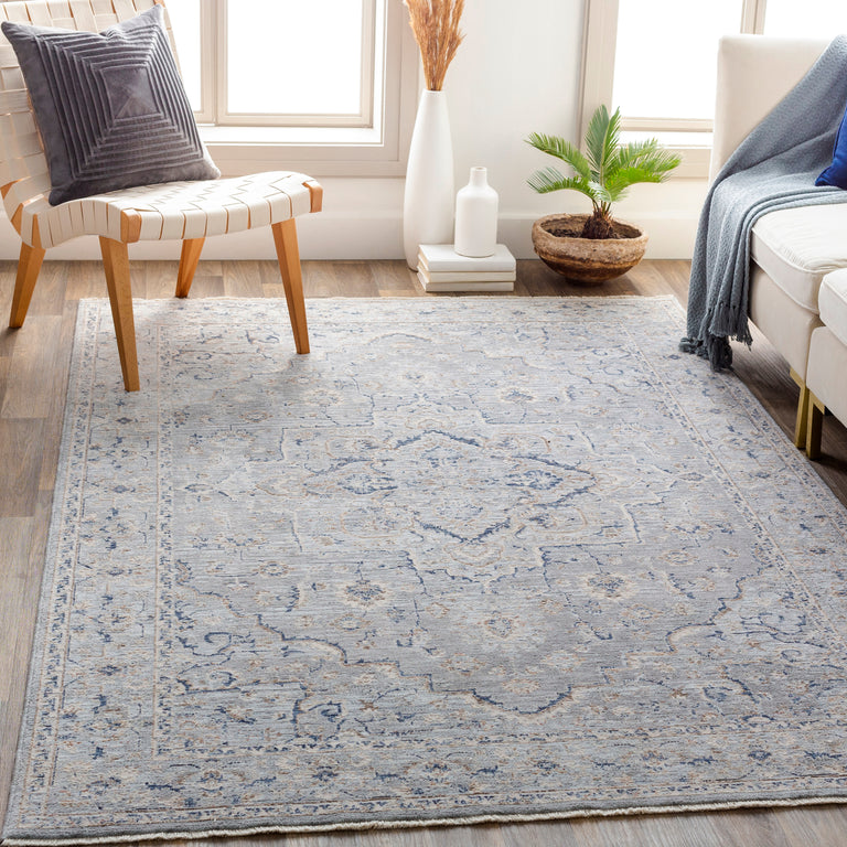 Surya Palazzo Traditional Rug - 5 x 8 feet, Taupe, PZL2300-582