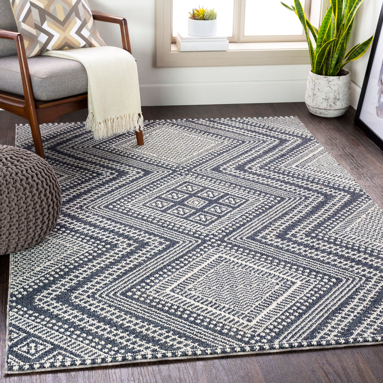 Surya Ariana Global Rug - 7 x 9 feet, Charcoal, RIA2301-679