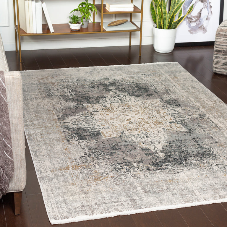 Surya Solar Traditional Rug - 3 x 5 feet, Charcoal, SOR2305-35