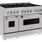 ZLINE 48 in. Professional Gas Burner/Electric Oven in DuraSnow® Stainless with 6.0 cu.ft. Oven, RAS-SN-48