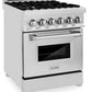 ZLINE 24 in. Professional Gas Burner/Electric Oven Stainless Steel Range with Brass Burners, RA-BR-24