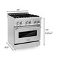 ZLINE 30 in. Professional Gas Burner/Electric Oven Stainless Steel Range with Brass Burners, RA-BR-30
