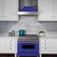 ZLINE 36 in. Professional Gas Burner/Electric Oven in DuraSnow® Stainless with Blue Matte Door, RAS-BM-36