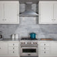 zline-snow-stainless-steel-wall-mounted-range-hood-8kbs-lifestyle2_1