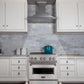 zline-snow-stainless-steel-wall-mounted-range-hood-8kbs-lifestyle_1
