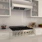 zline-stainless-steel-under-cabinet-range-hood-520-kitchen-updated-3_2